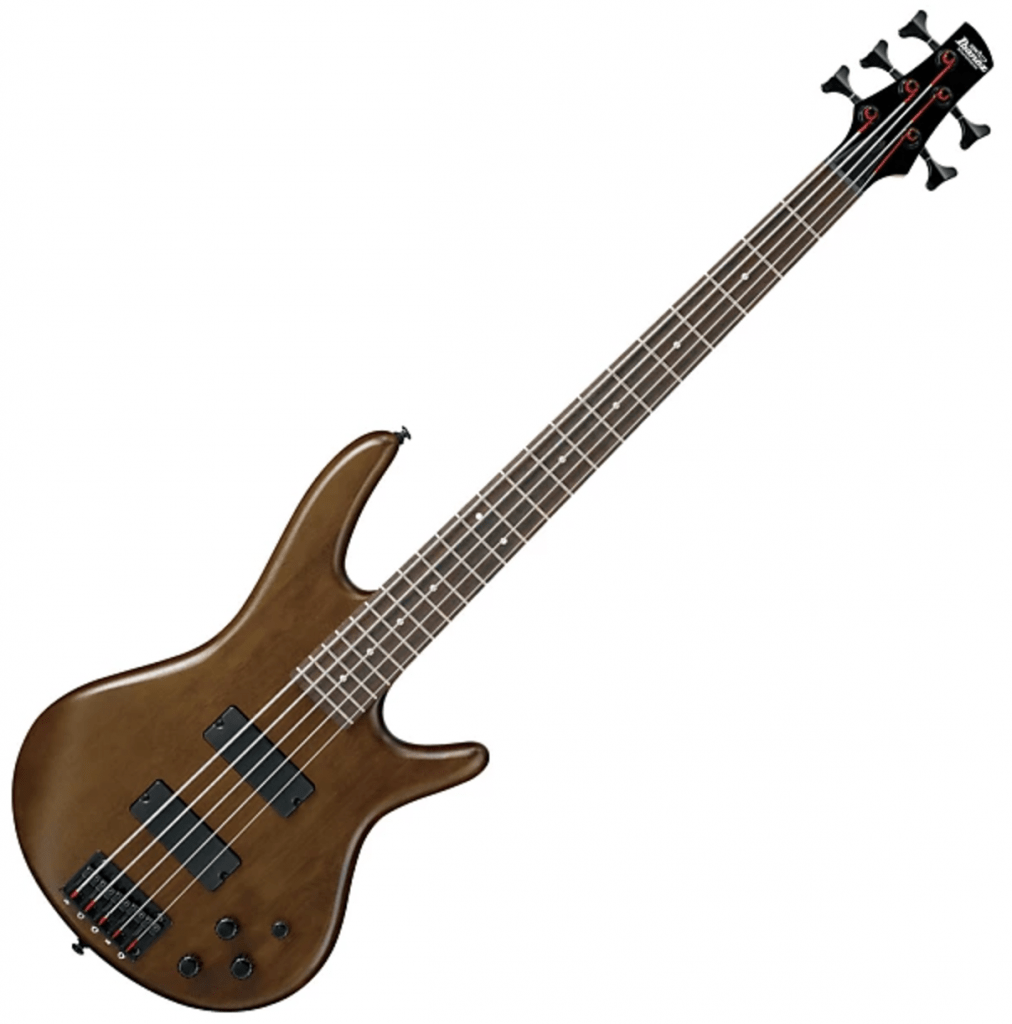 The best bass guitars in 2018 reviewed Know Your Instrument