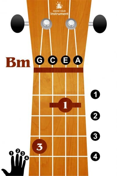 Basic Ukulele Chords For Beginners - Know Your Instrument