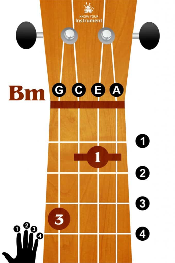 Basic Ukulele Chords For Beginners Know Your Instrument