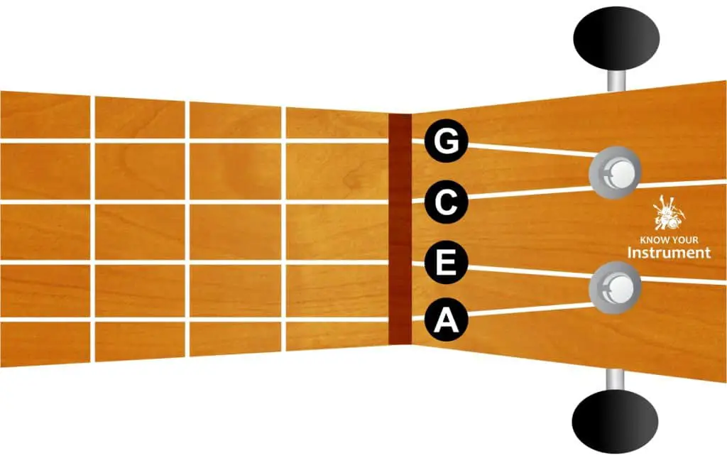 ukulele string names