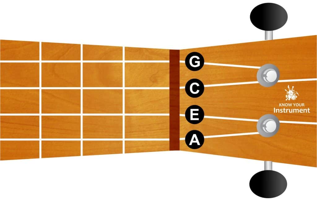 Basic Ukulele Chords For Beginners - Know Your Instrument