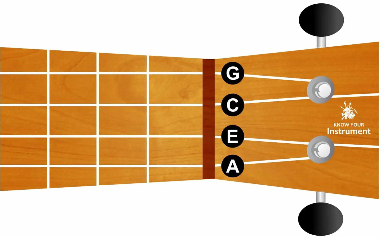 ukulele string names - Know Your Instrument