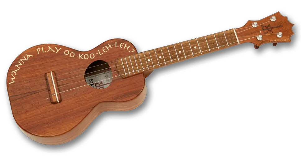 ukulele instrument