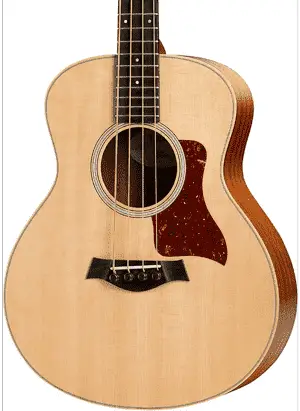 Taylor GS Mini Acoustic Bass Guitar