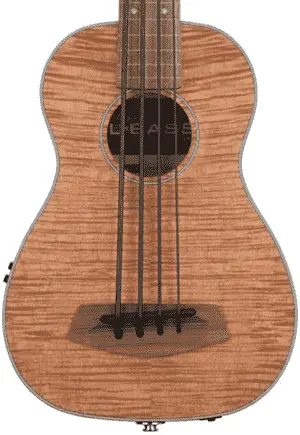 Kala U-Bass baritone ukulele