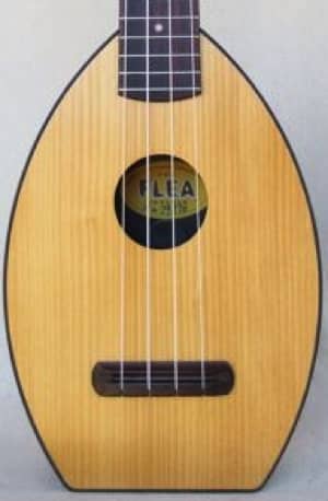 flea concert ukulele-