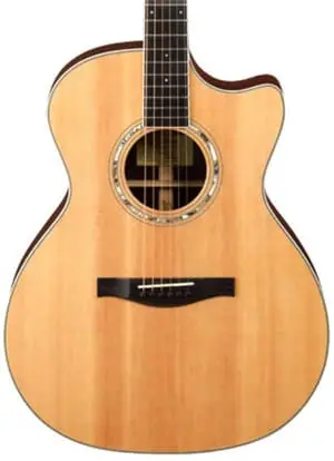 Eastman AC422CE acoustic guitar