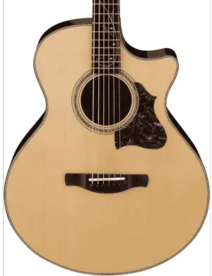 Ibanez AE255BT acoustic guitar