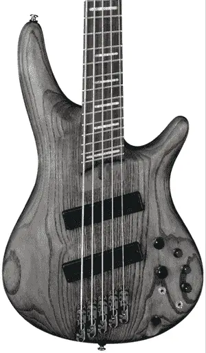 Ibanez SRFF805 bass guitar
