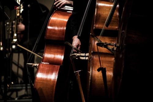 cello orchestra