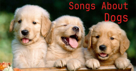 20 Best Songs About Dogs songs about dogs