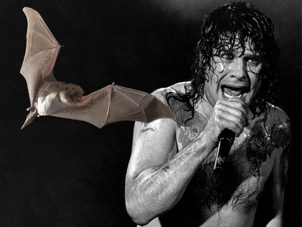 The Night Ozzy Bit A Bat’s Head Off: What Really Happened? ozzy osbourne and a bat