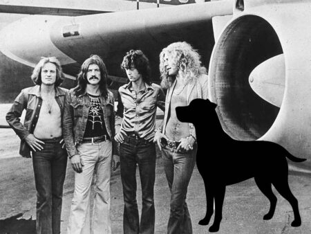 Led Zeppelin and a black dog