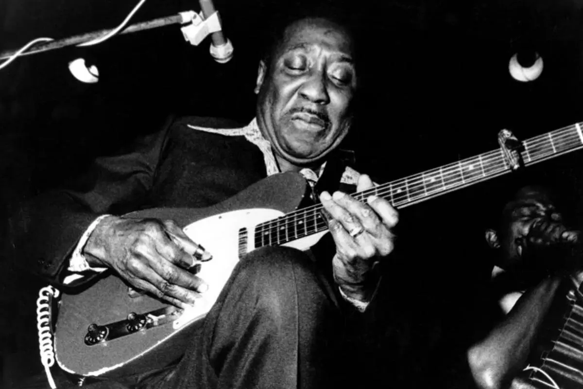 Muddy Waters seated on stage, playing electric guitar during a live blues performance.