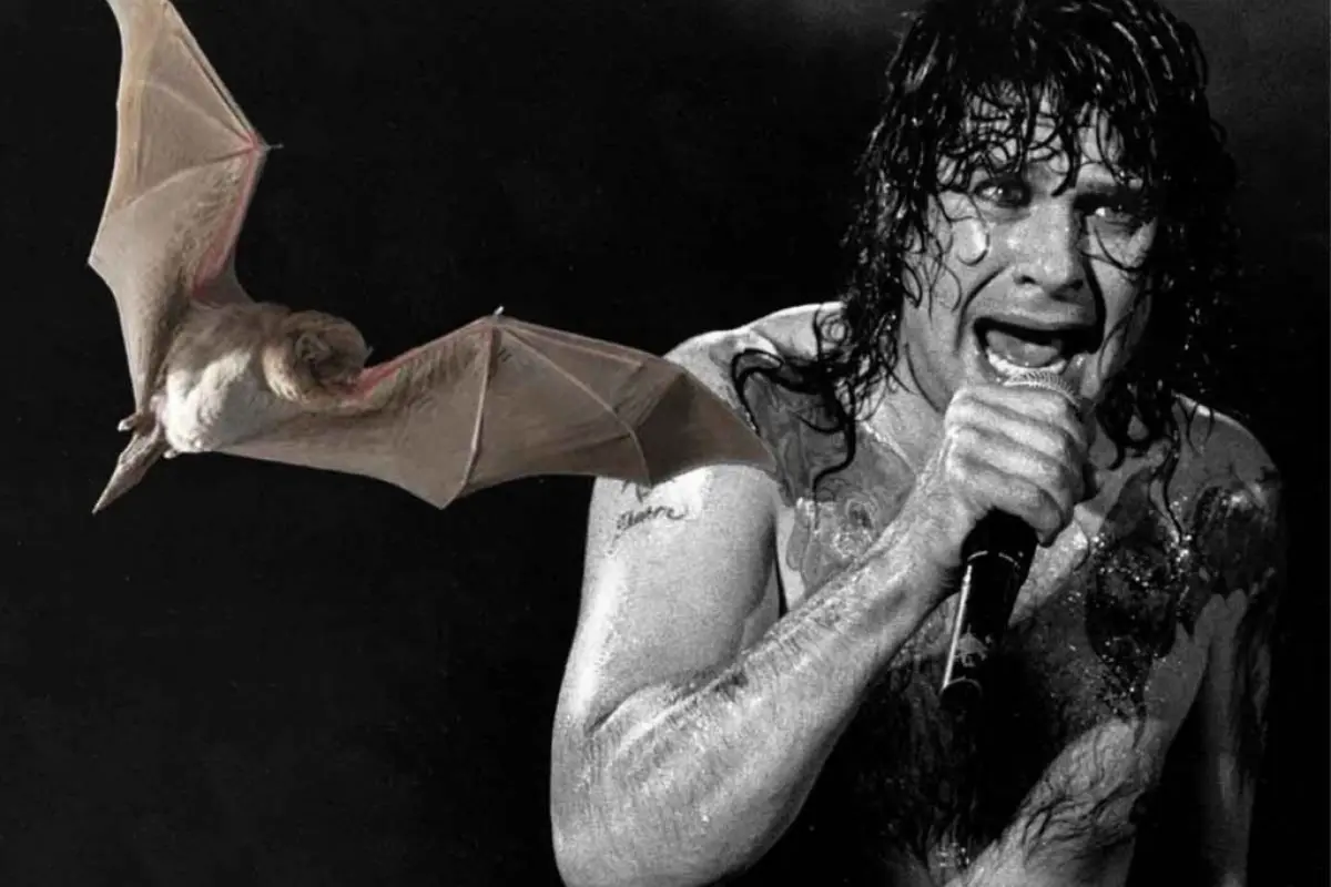 Ozzy Bit A Bats Head Off.