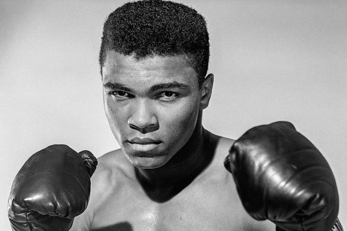 Muhammad Ali boxing poses with gloved fists raised, staring directly into the camera with a focused, determined expression.