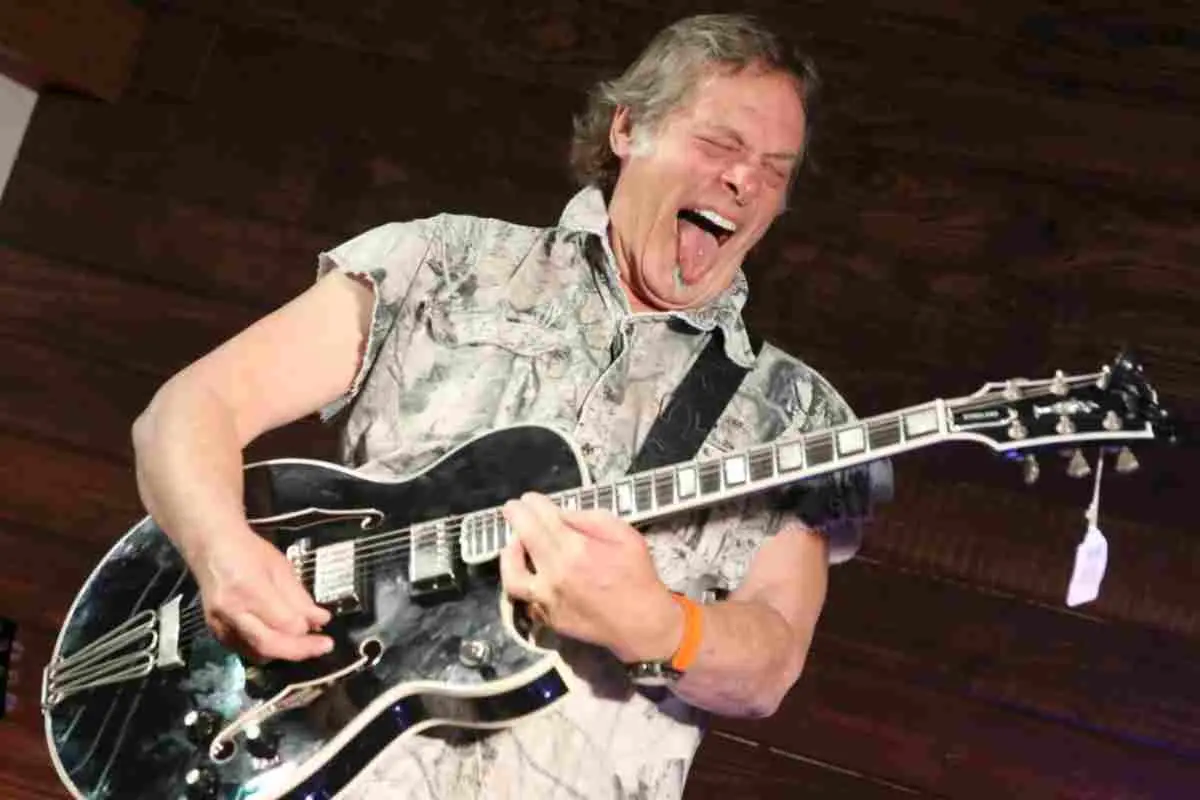 Ted Nugent performing live on stage with electric guitar